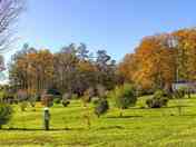 Caravan pitches