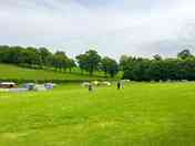 The paddock
