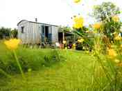 The Hideout
