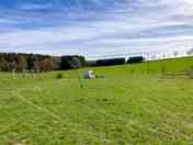 Spacious pitches