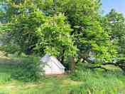 Campers on site