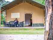 6 person safari tent