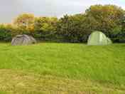 The camping pitches (added by manager 05 Aug 2021)