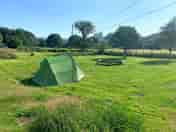 Field with our tent (added by visitor 21 Jul 2021)
