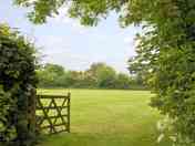 Play-field