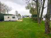 Grass pitches