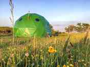 Dome in the meadow