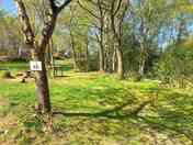 Pitch with firepit and picnic table