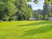Pitches among the trees