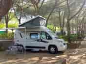 Motorhome pitch under the trees (added by manager 10 Apr 2022)