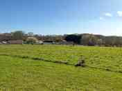 Ridgeway pitch