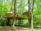 Capucins treehouse