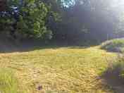 Badger pitch