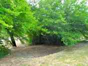 Wild pitches among the trees