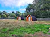 The pods
