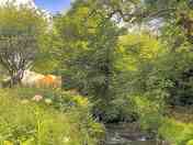 Situation on the bank of the stream in its own private space