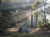 Electric forest floor pitch