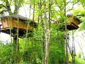 Characterful treehouses