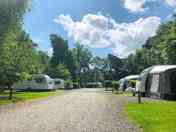 Spacious, tree-backed hardstanding pitches
