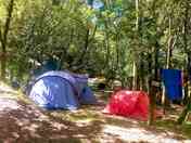 Shaded pitches in the woods