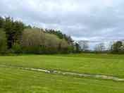 Grassy pitches