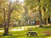 Glamping pods