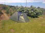 Small Tent Pitch