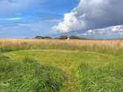 Newly-cut pitch (added by manager 19 Aug 2021)