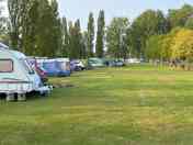 Shelduck area 5