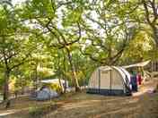Pitches on site