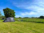 Non-electric grass tent pitch