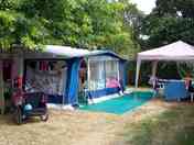 Leafy site