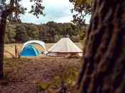 Bell tent pitch