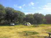 Grass pitch