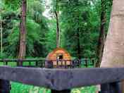 Camping Cabin nestled in Castlewood Holiday Park Location