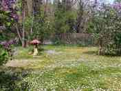 Pitch surrounded by wildflowers