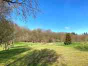 Park Avenue - grass pitches suitable for tents and trailer tents