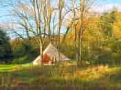 Bell tent surrounded by woodlands (added by manager 25 Apr 2023)