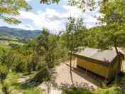 Forested hill views