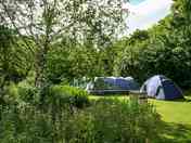 Tent pitches