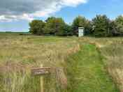 The Cluck Cluck pitch