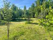 Pitches surrounded by trees