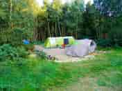 Double tent pitch in the woods (added by manager 27 Jul 2022)