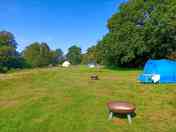 Main field