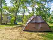 Pitch among the trees