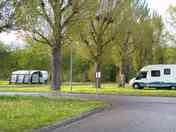 Pitches among the trees