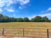 Field
