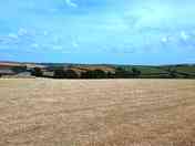 Camping field