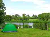 Grass pitches