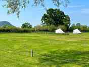 Tent pitches overlooking the bell tents (added by manager 21 Jul 2023)